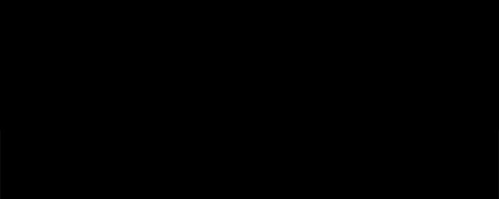 117.jpg