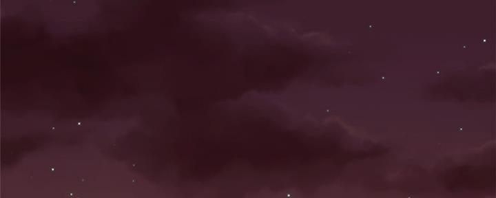 81