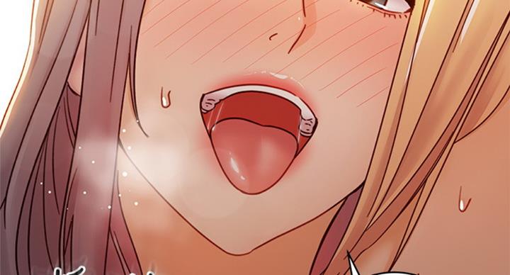 66