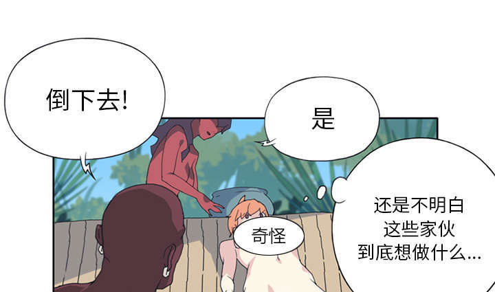 53