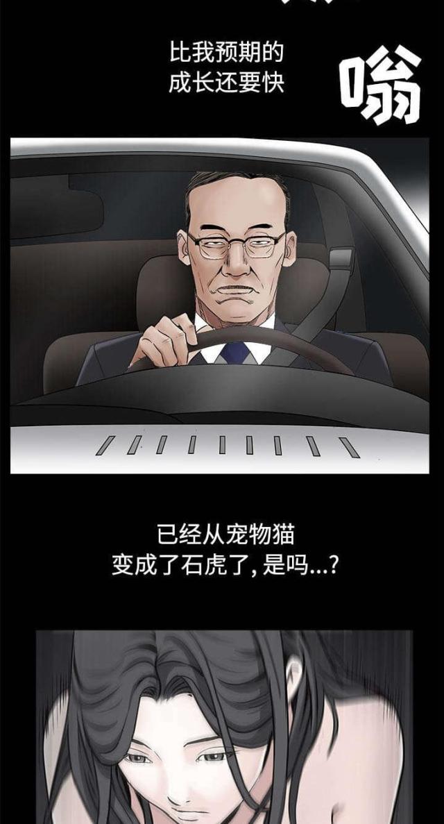 11.jpg