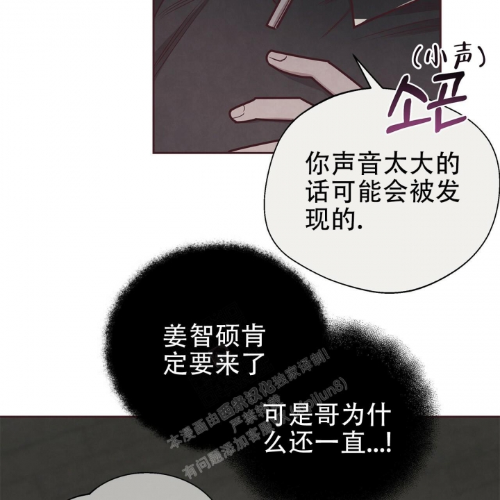 48.jpg
