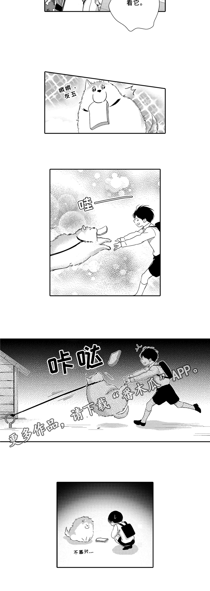 6.jpg
