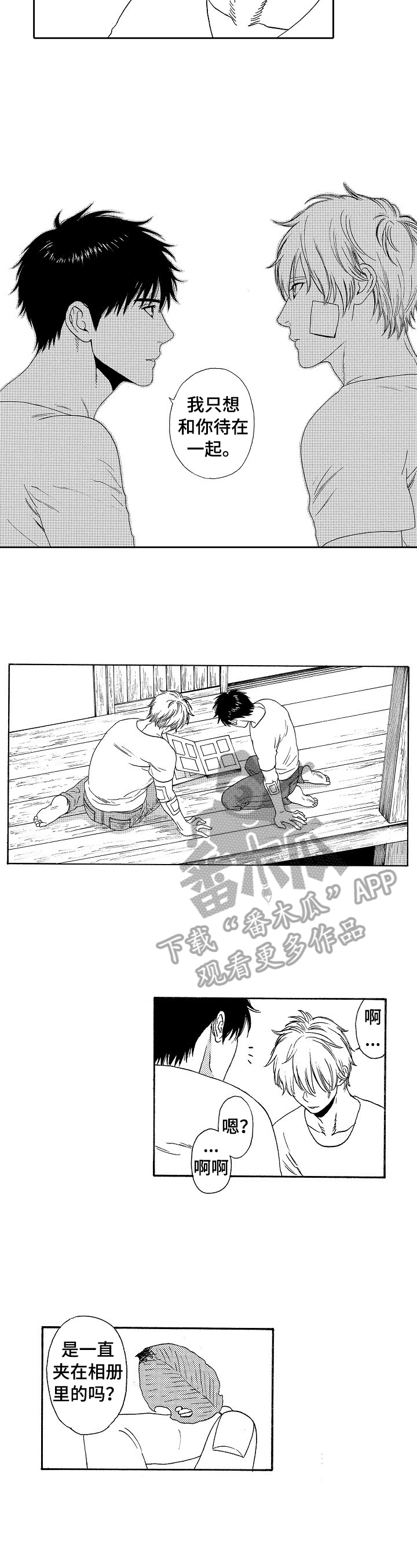 /template/pc/baozi/image/load.gif