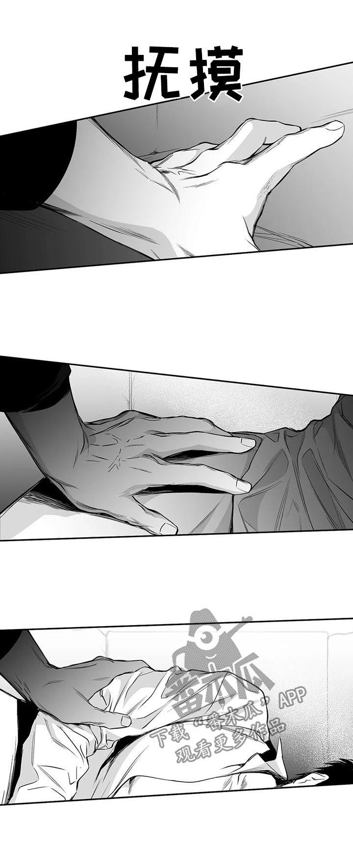 /template/pc/baozi/image/load.gif
