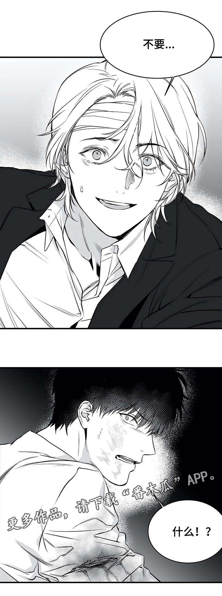/template/pc/baozi/image/load.gif