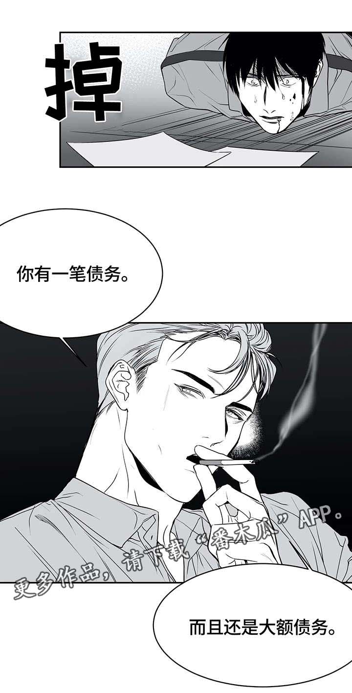 /template/pc/baozi/image/load.gif