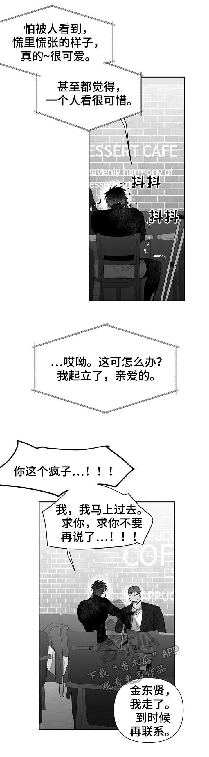 21.jpg