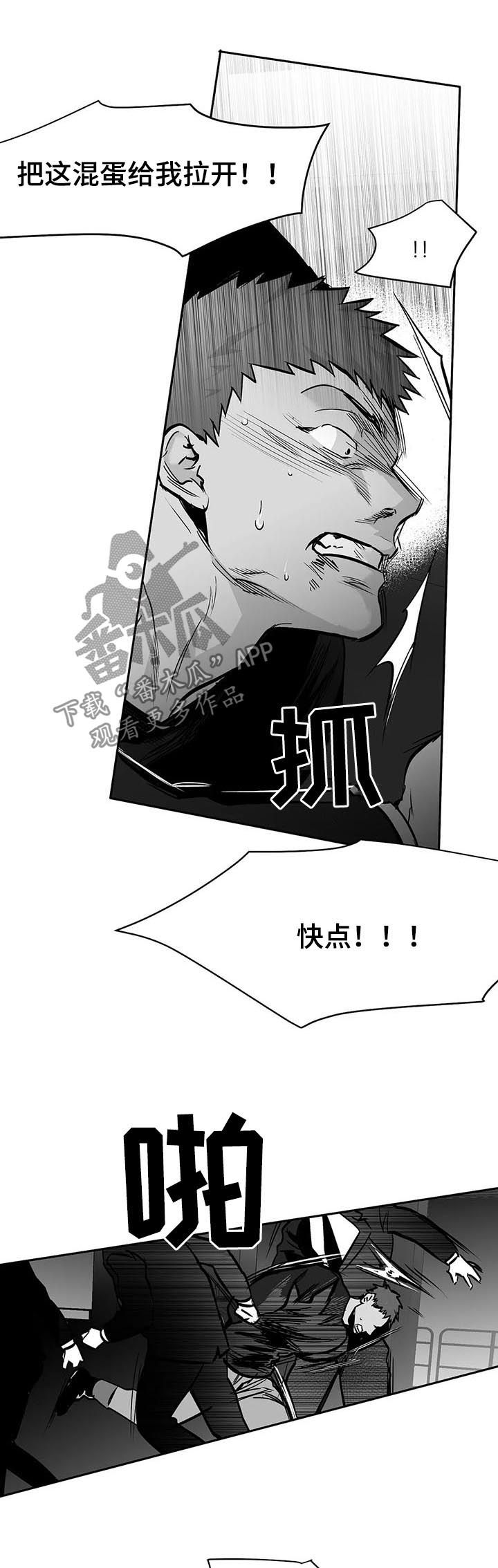 /template/pc/baozi/image/load.gif