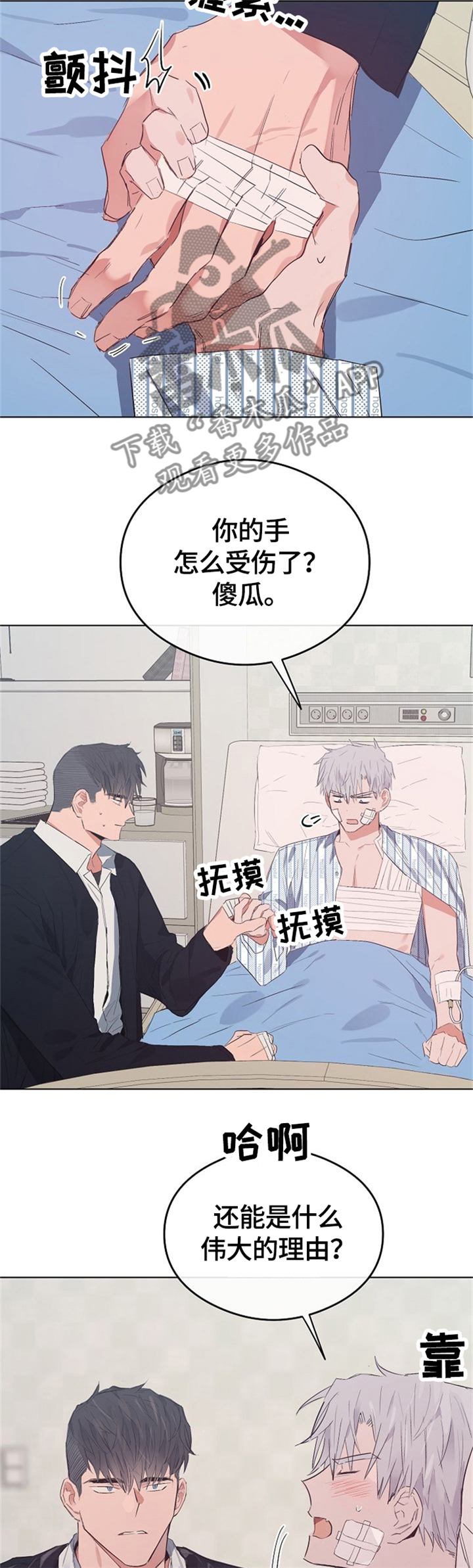 /template/pc/baozi/image/load.gif