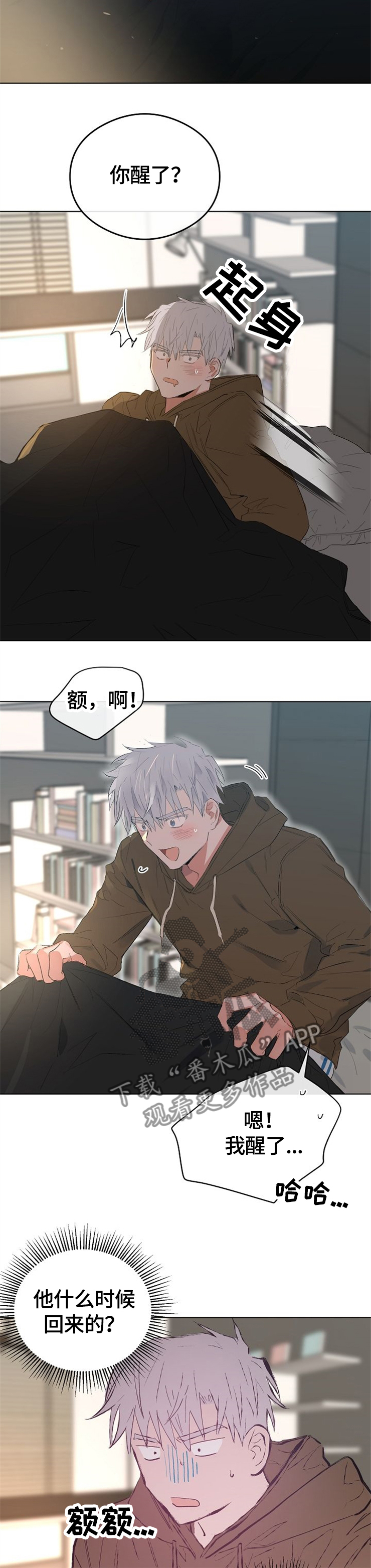 4.jpg
