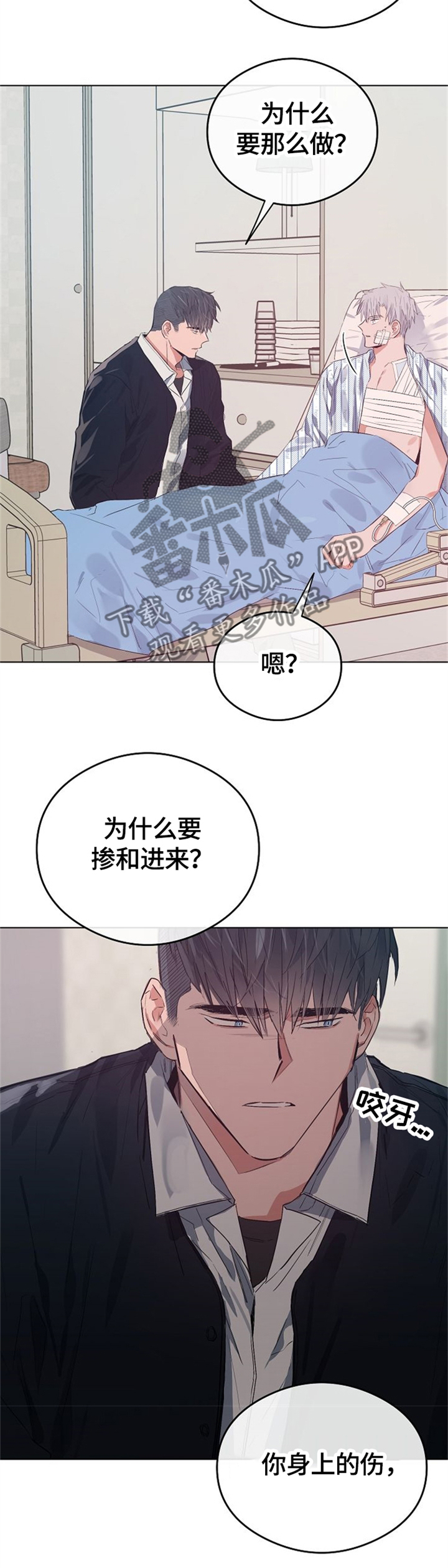 /template/pc/baozi/image/load.gif