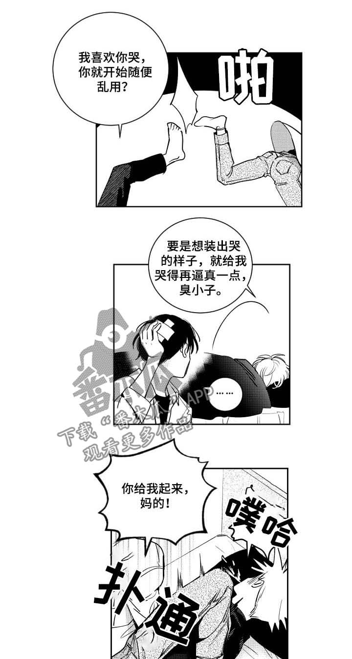 1.jpg