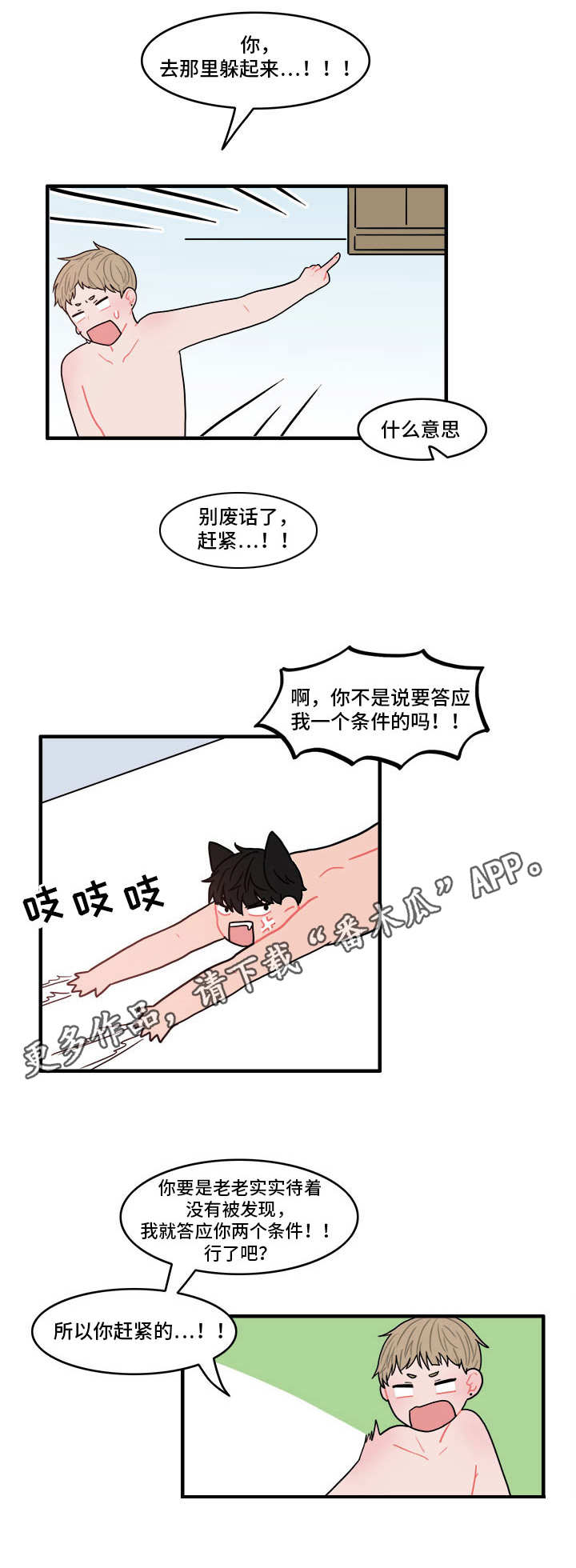 4.jpg