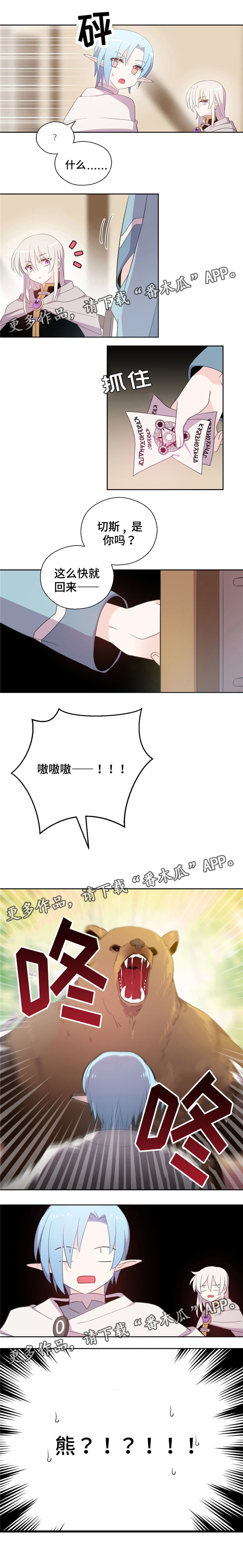 5.jpg