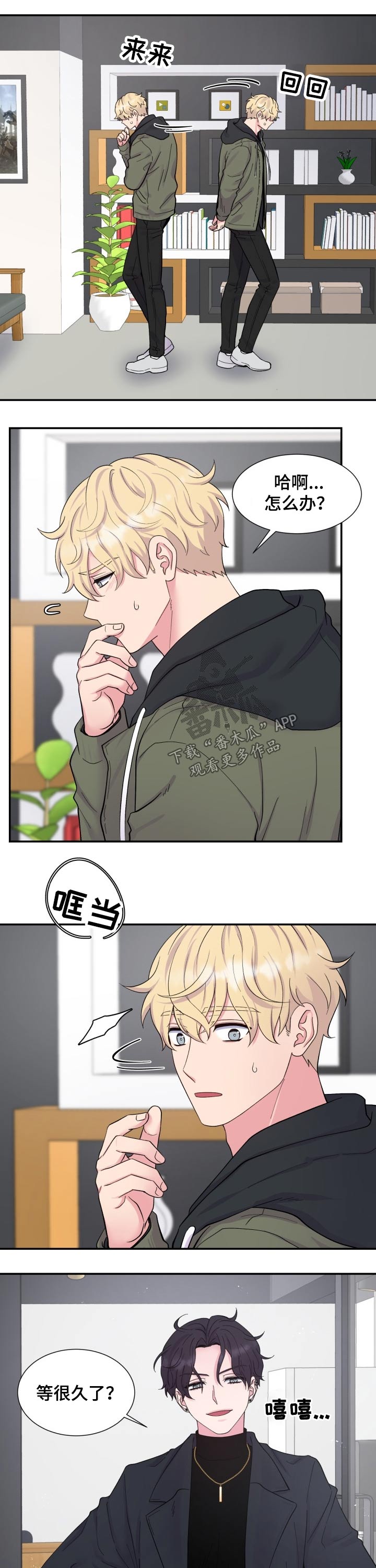 6.jpg