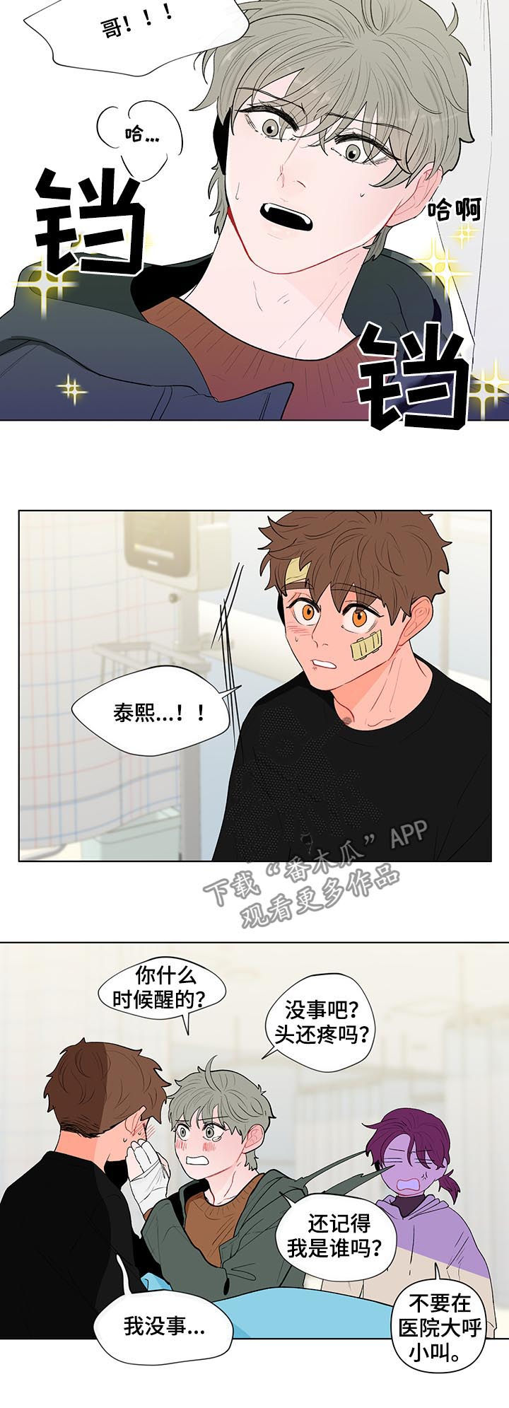 /template/pc/baozi/image/load.gif