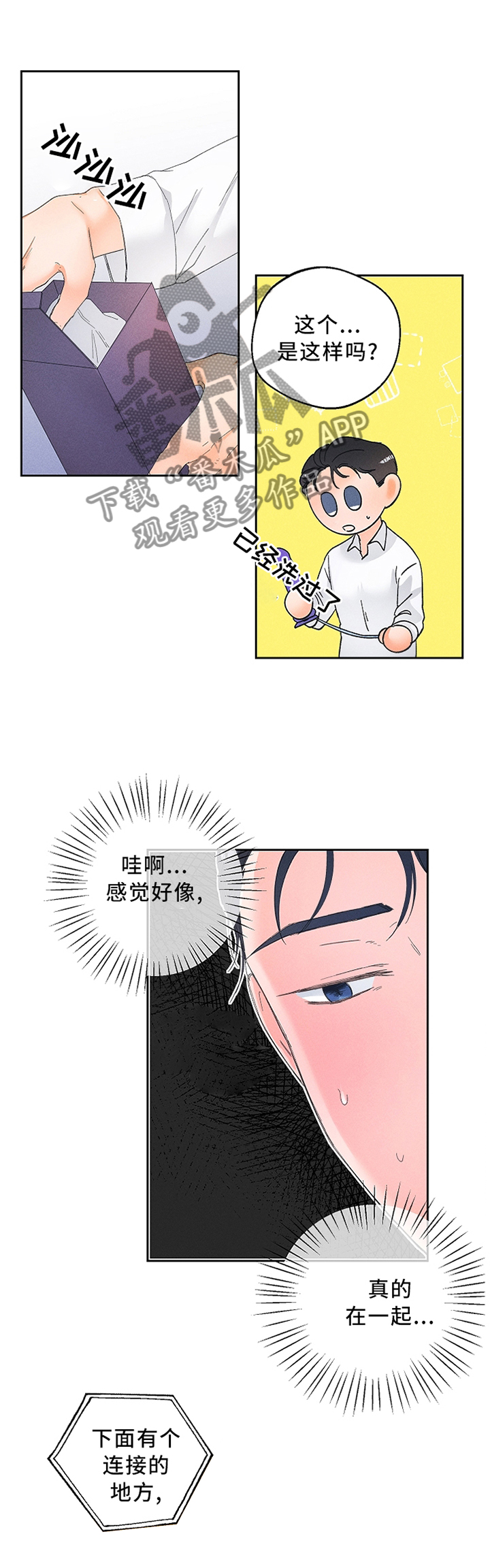 4.jpg