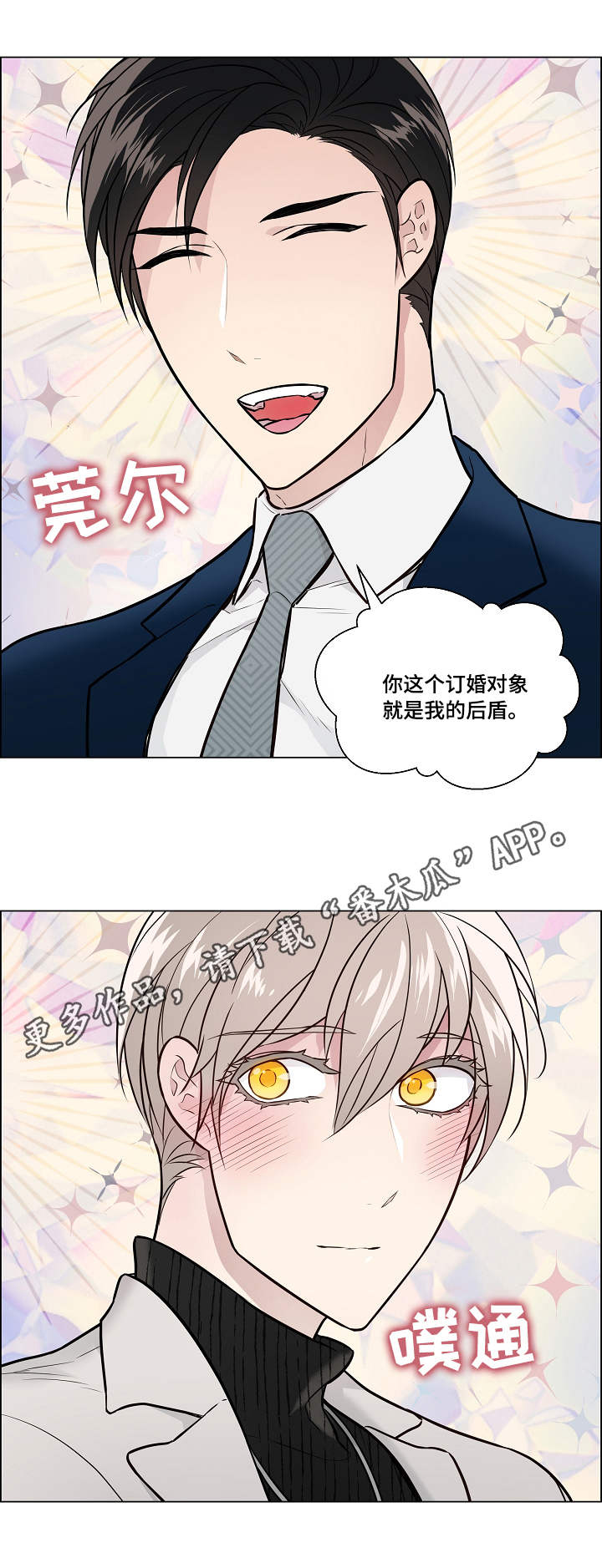 5.jpg