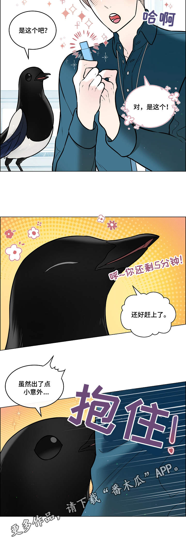 8.jpg