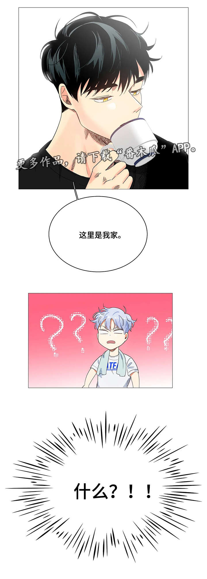10.jpg