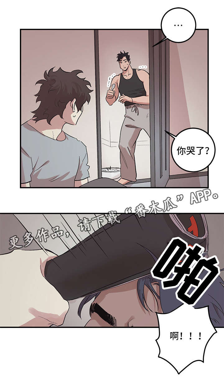15.jpg