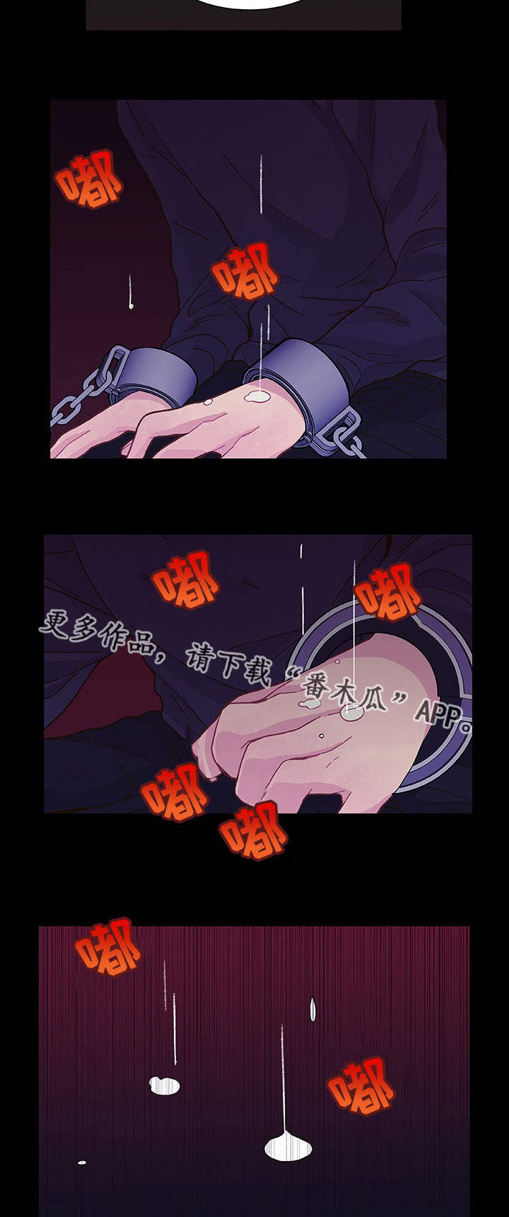 23.jpg