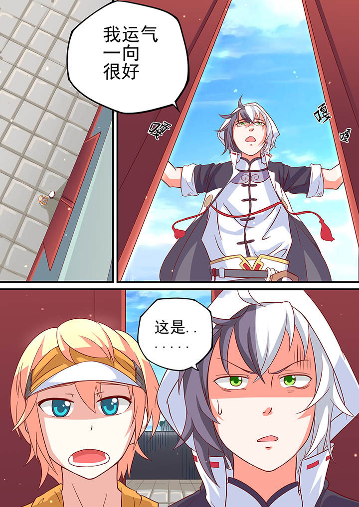 11.jpg