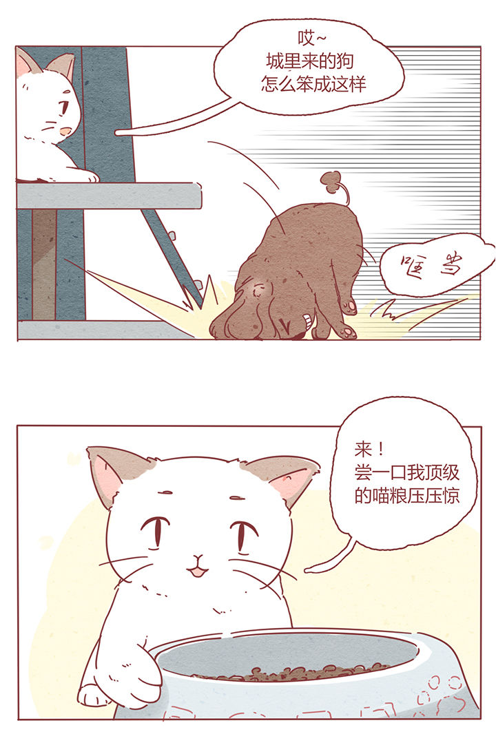8.jpg