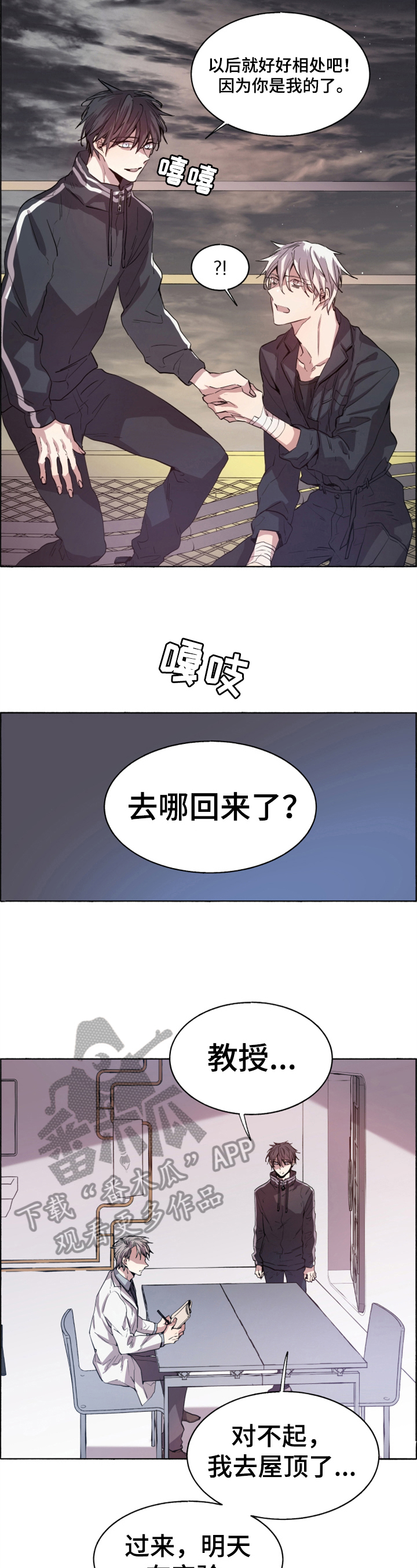 3