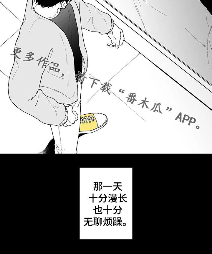 17.jpg