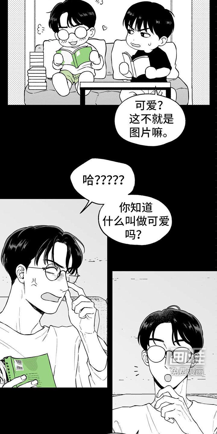 18.jpg