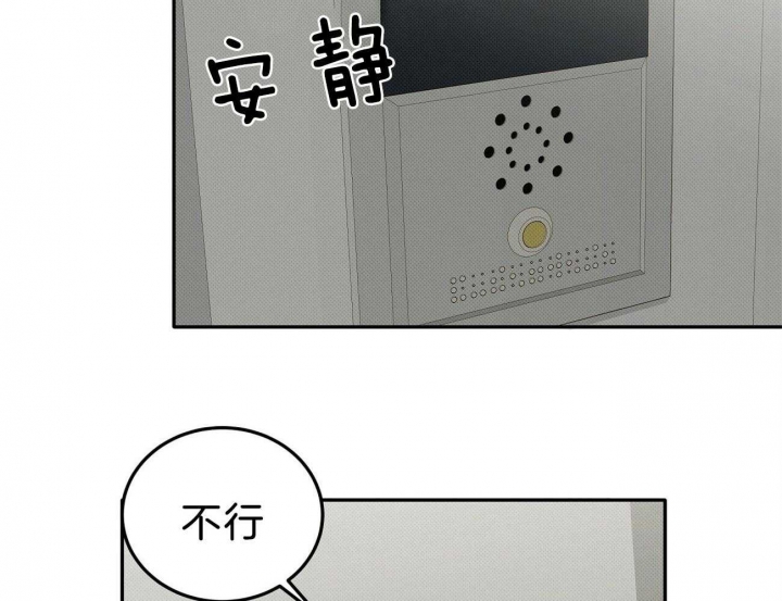 77.jpg