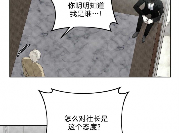 85.jpg