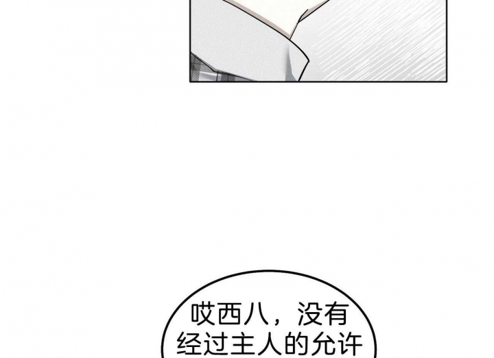 119