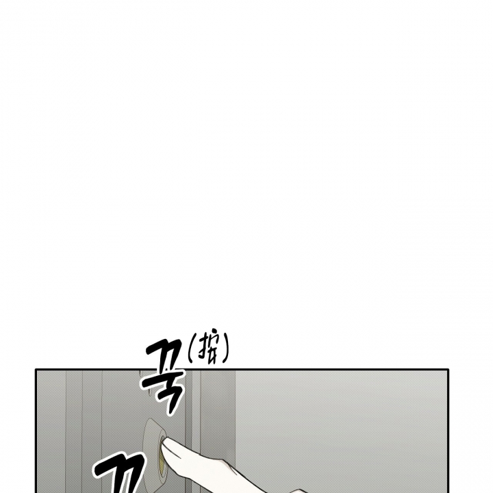 66.jpg