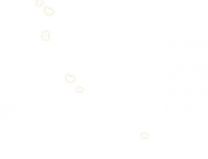 47.jpg