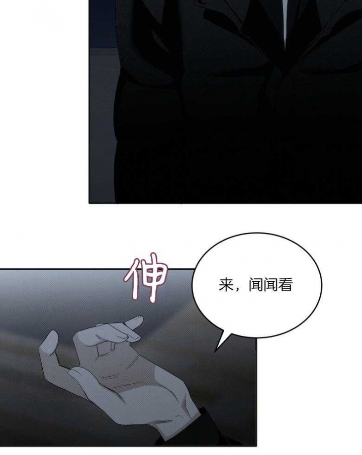 /template/pc/baozi/image/load.gif