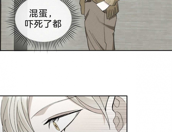 43.jpg