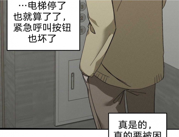 53.jpg