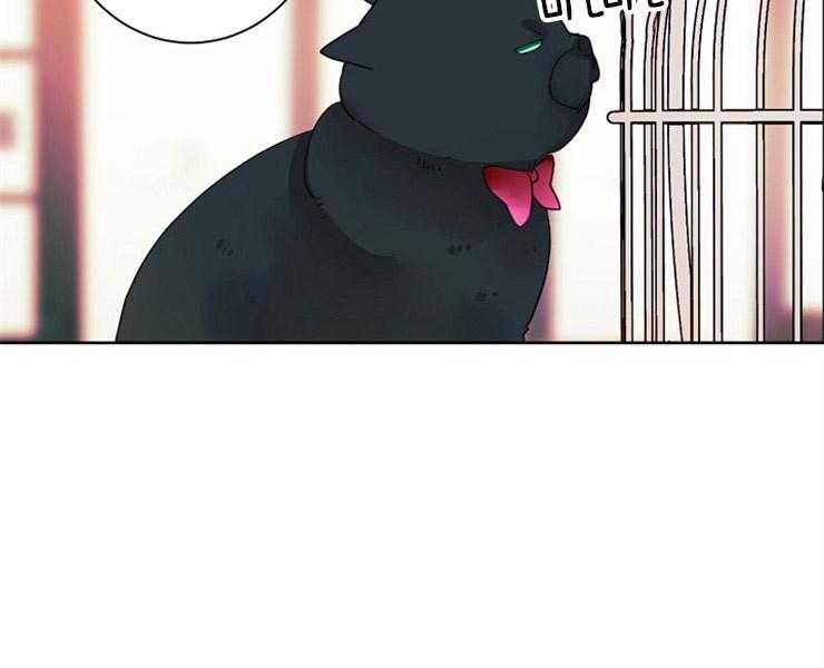 45