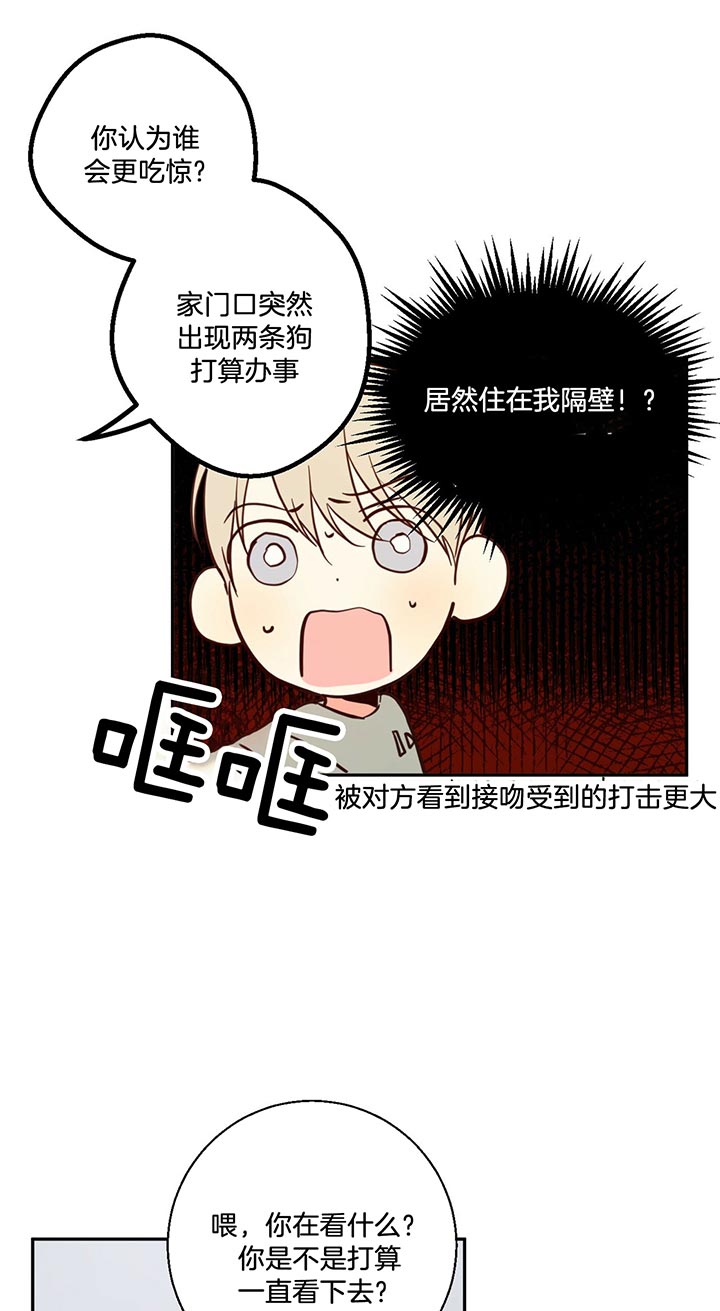 危险便利店