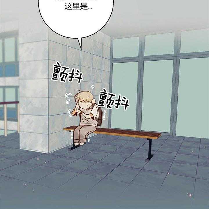 危险便利店