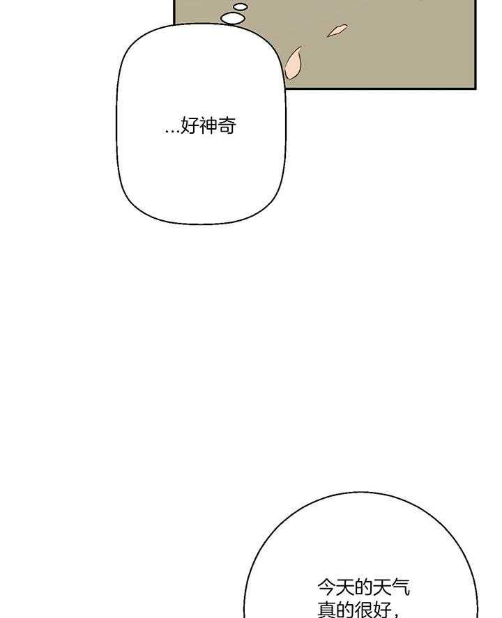 危险便利店