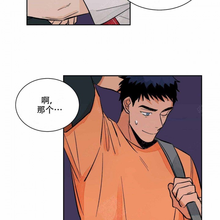 43