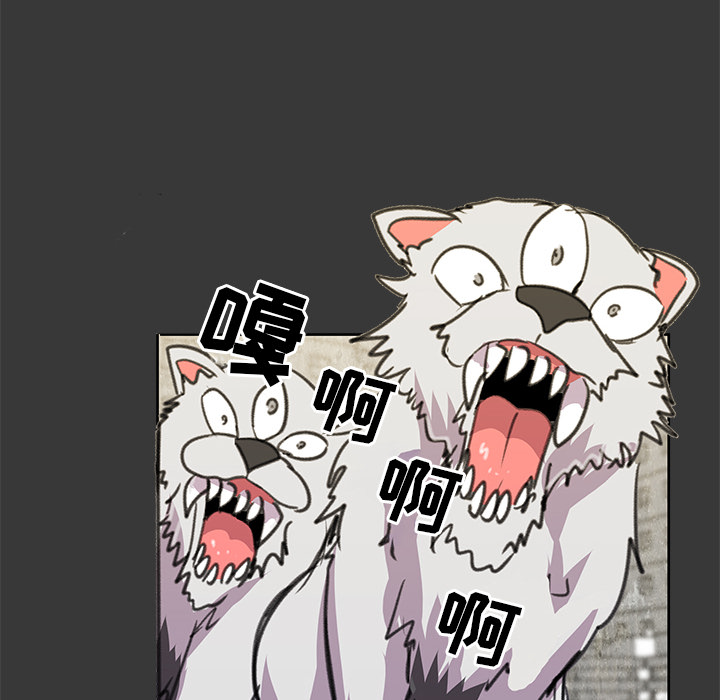 81