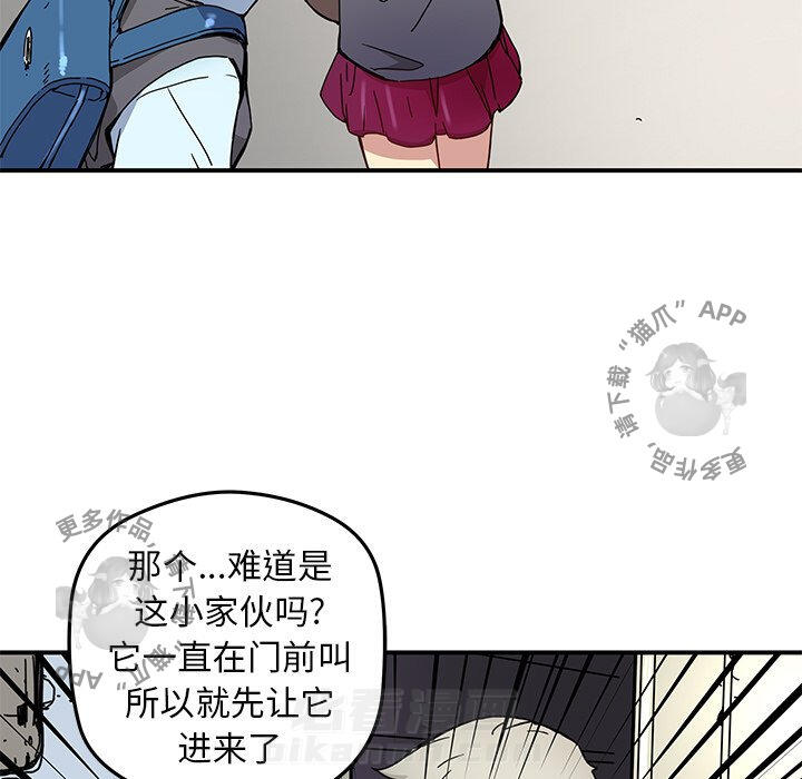 51