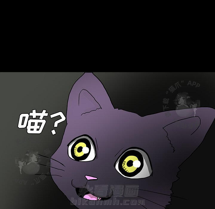 81