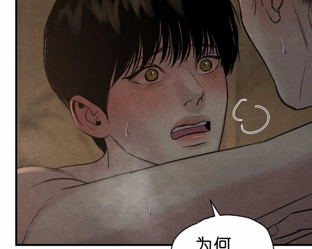 81