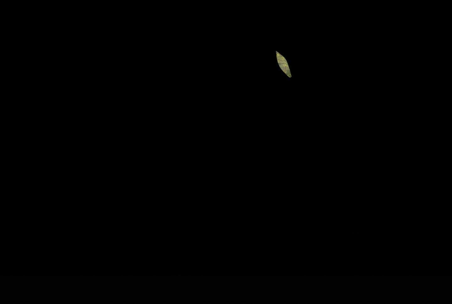 60